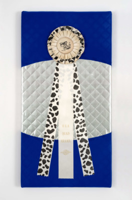 Sorry no sorry fifth place, horse prize loop from the US western tournament, quilted fabric, spandex, 60 x 31 cm, 2023